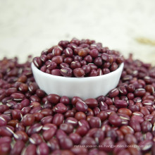 Precio de frijoles Vigna rojos